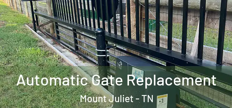 Automatic Gate Replacement Mount Juliet - TN