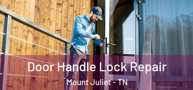 Door Handle Lock Repair Mount Juliet - TN