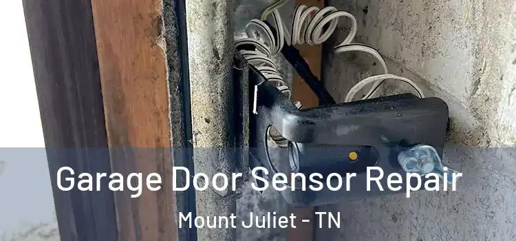 Garage Door Sensor Repair Mount Juliet - TN