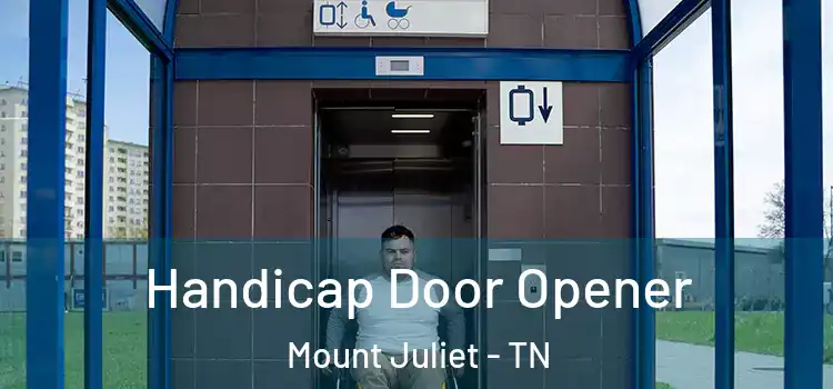 Handicap Door Opener Mount Juliet - TN