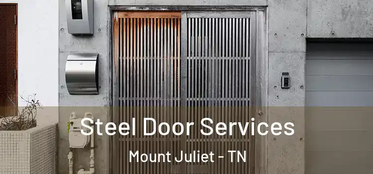 Steel Door Services Mount Juliet - TN